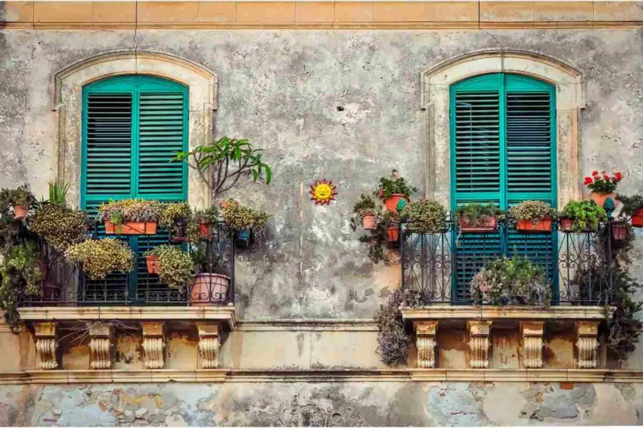 I fiori resistenti al sole perfetti per balconi assolati e senza manutenzione I fiori resistenti al sole perfetti per balconi assolati e senza manutenzione