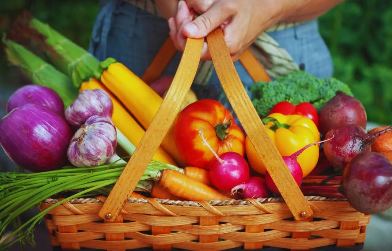 Sai quali verdure estive peggiorano l’artrite? Ecco cosa limitare nei pasti quotidiani Sai quali verdure estive peggiorano l’artrite? Ecco cosa limitare nei pasti quotidiani