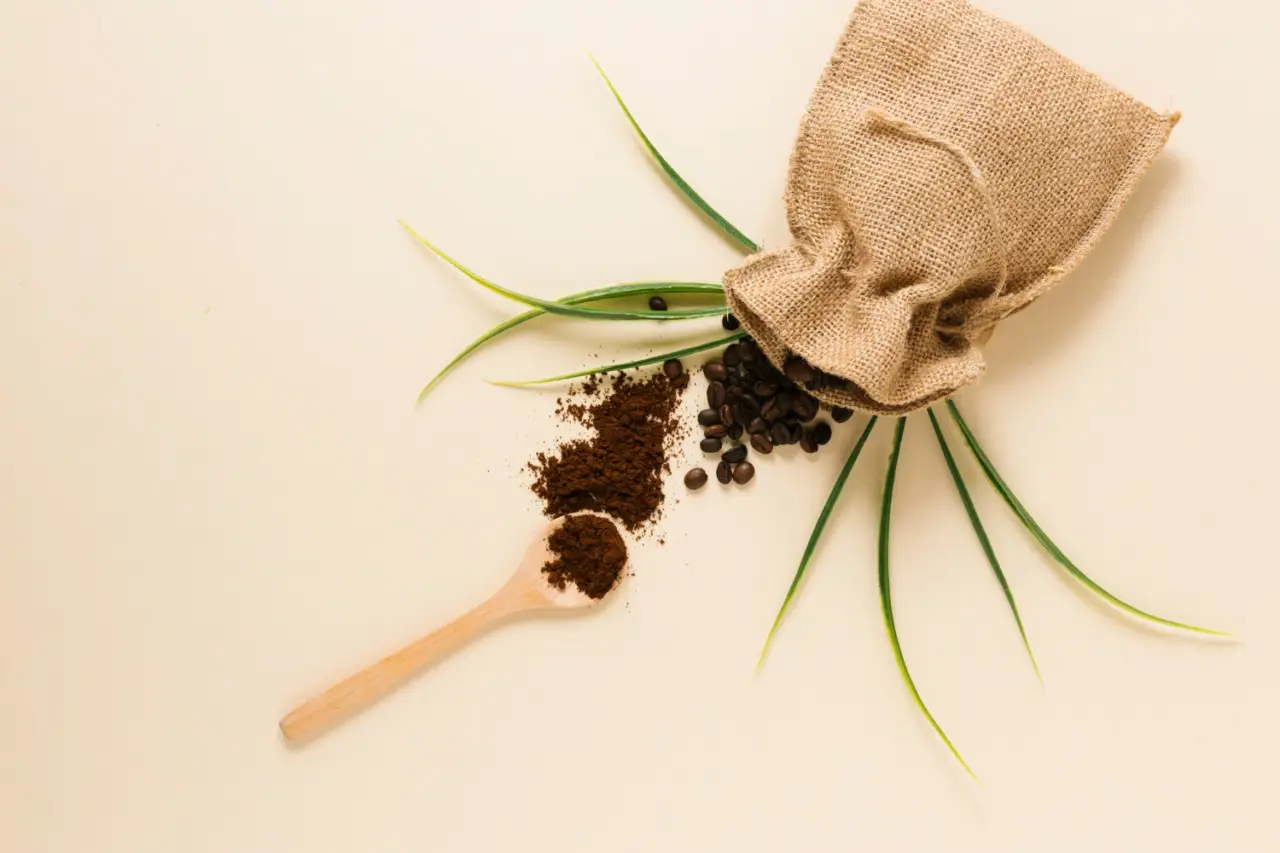 Fertilizzanti naturali: come usare i fondi di caffè per rinvigorire le piante da interno Fertilizzanti naturali: come usare i fondi di caffè per rinvigorire le piante da interno